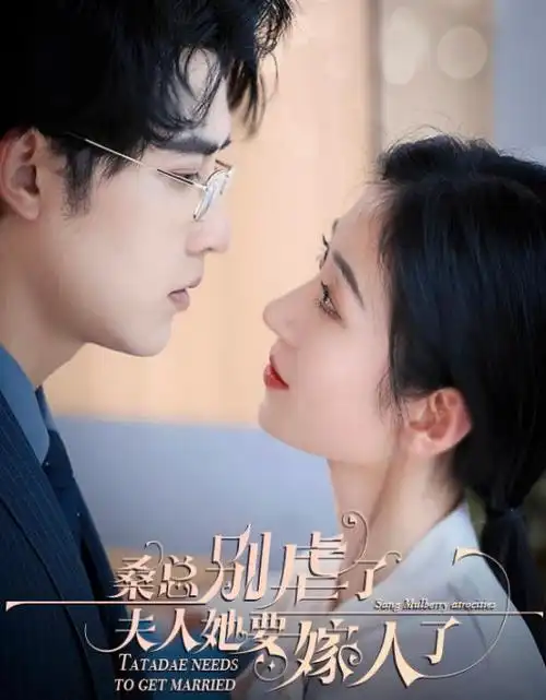 长夜微光 热播电视剧全集手机免费在线观看